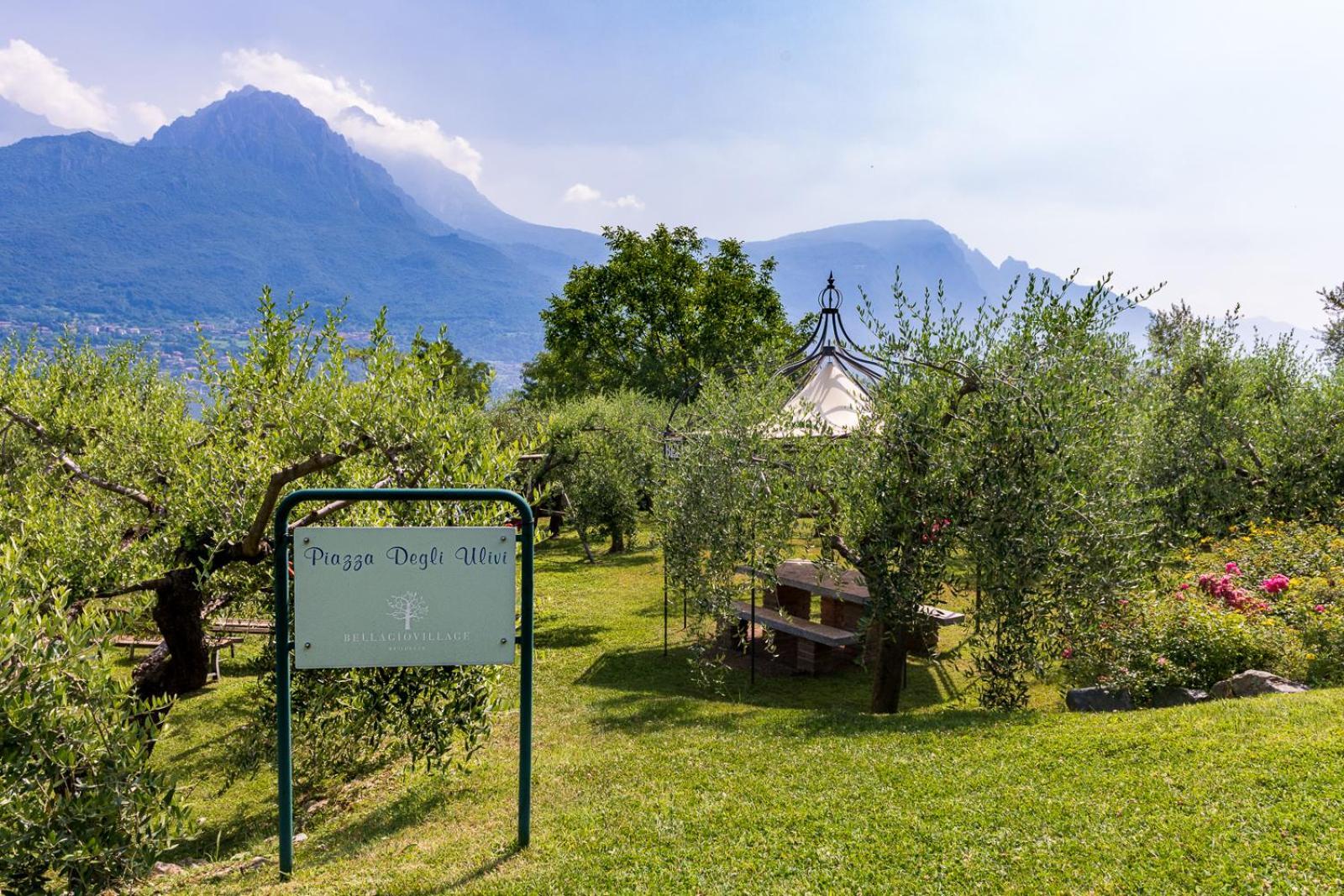 Villa Vittoria With Private Heated Pool & Shared Sauna - Bellagio Village Residence Oliveto Lario Eksteriør billede
